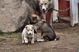 DSC08360 -1_t.jpg